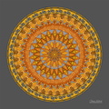 Circle 0043-S12