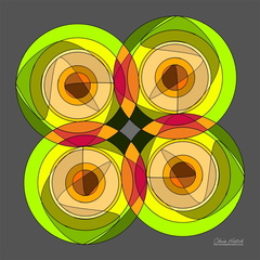 Circle 0047-S12