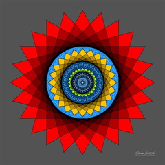 Circle 0050-S12
