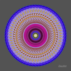 Circle 0060-S12
